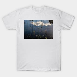 Through the surface T-Shirt